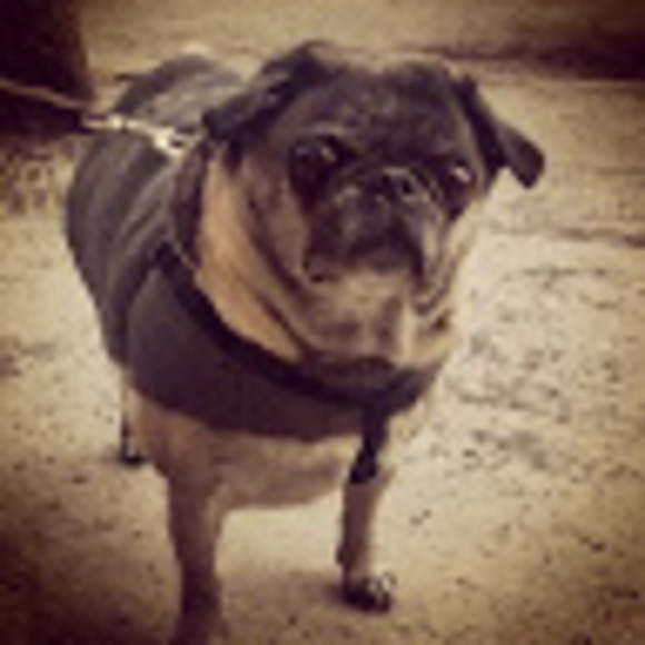 Meet your Posher, David - Picture 1 of 1